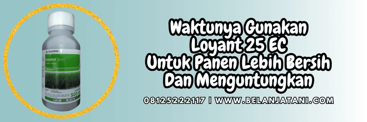 jual,murah,terjangkau,toko pertanian terdekat,belanja tani