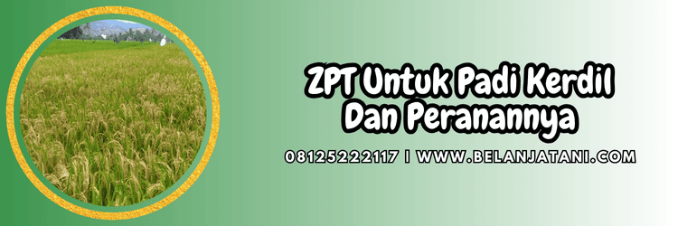 zat pengatur tumbuh,tanaman,budidaya,budidaya tanaman,belanja tani