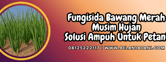 fungisida bawang merah musim hujan,fungisida,bawang merah,musim,hujan,belanja tani
