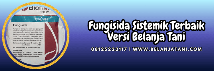 pestisida,pestisida jenis fungisida,jamur,penyakit,belanja tani