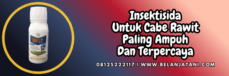 pestisida,pestisida jenis insektisida,racun serangga,petani,belanja tani