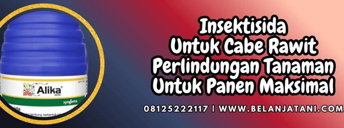 insektisida untuk cabe rawit,insektisida,cabe,cabe rawit,belanja tani
