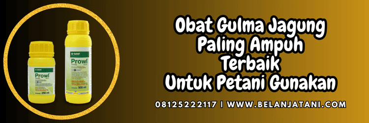 pestisida,herbisida,pestisida jenis herbisida,rumput liar,belanja tani