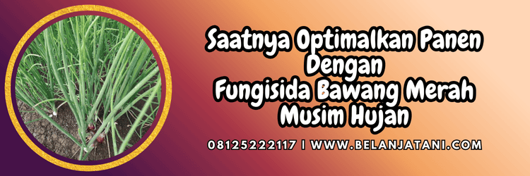 jual,murah,terjangkau,toko pertanian terdekat,belanja tani