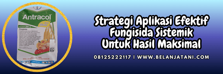 strategi,aplikasi,penggunaan,produk,belanja tani