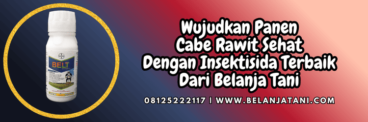 jual,murah,terjangkau,toko pertanian terdekat,belanja tani