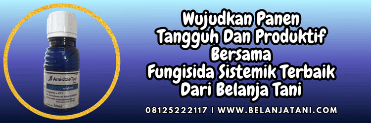 jual,murah,terjangkau,toko pertanian terdekat,belanja tani