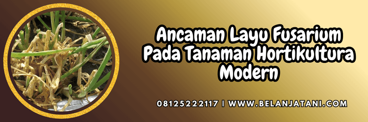 ancaman,serangan,budidaya,tanaman,jamur,cendawan,belanja tani