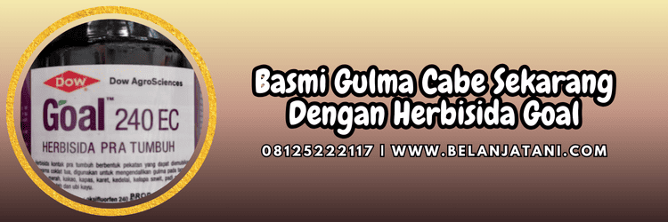 jual,murah,terjangkau,toko pertanian terdekat,belanja tani