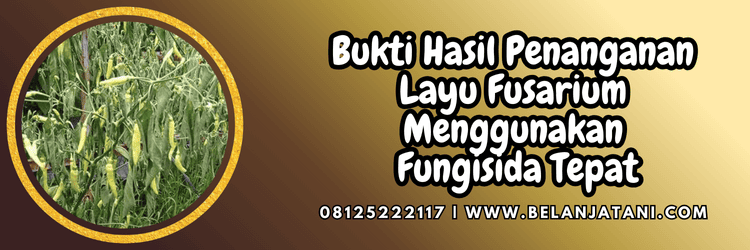 bukti,hasil,pengendalian,penyakit,belanja tani