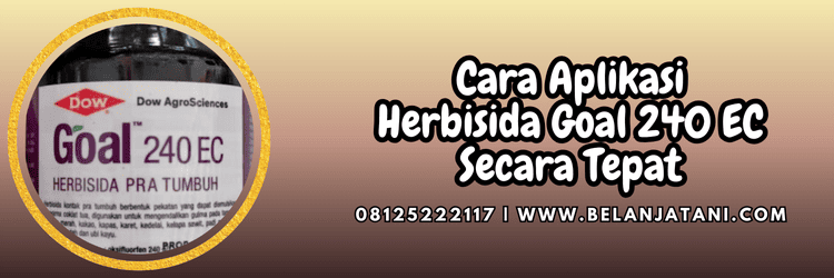 cara,aplikasi,penggunaan,pengaplikasian,belanja tani