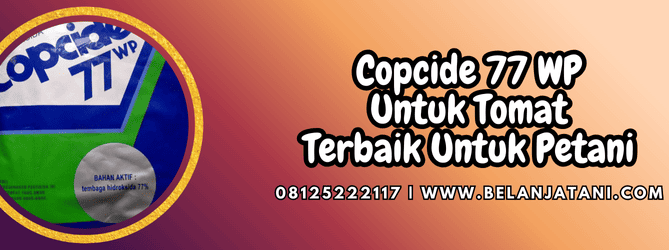 copcide 77 wp untuk tomat,copcide,copcide 77 wp,tomat,belanja tani