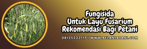 Layu In English Fungisida Untuk Layu Fusarium Rekomendasi Bagi Petani - Belanjatani.com