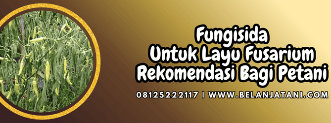 fungisida untuk layu fusarium,fungisida,layu,layu fusarium,belanja tani