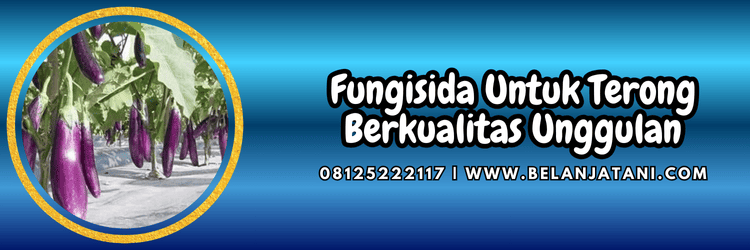 pestisida,pestisida jenis fungisida,terbaik,petani,budidaya,budidaya tanaman,belanja tani