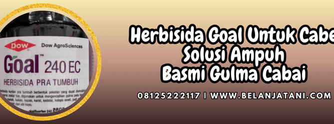 herbisida goal untuk cabe,herbisida,goal,goal 240 ec,saprotan utama,belanja tani