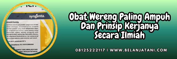 pestisida,insektisida,hama,hama wereng,belanja tani