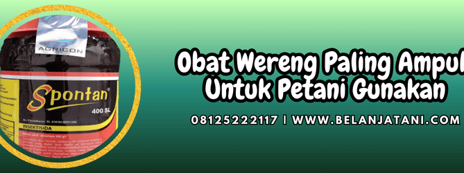 obat wereng paling ampuh,obat,wereng,ampuh,belanja tani