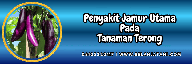 penyakit,cendawan,patogen,tanaman,belanja tani