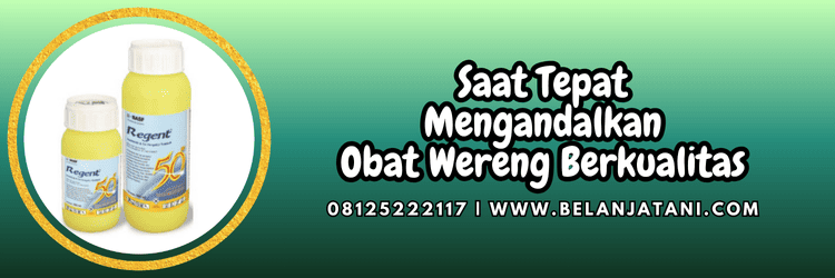 jual,murah,terjangkau,toko pertanian terdekat,belanja tani