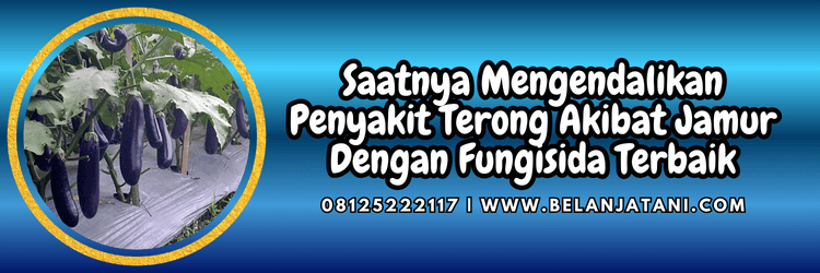 jual,murah,terjangkau,toko pertanian terdekat,belanja tani