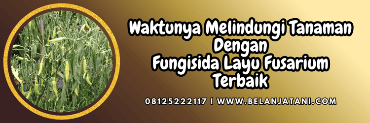 jual,murah,terjangkau,toko pertanian terdekat,belanja tani