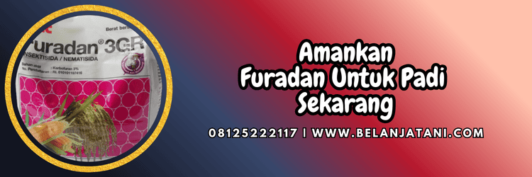 jual,murah,terjangkau,toko pertanian terdekat,belanja tani