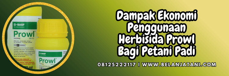 dampak,ekonomi,penggunaan,pengaplikasian,belanja tani