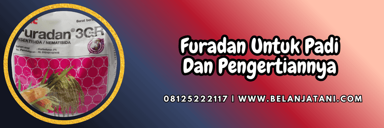 pestisida,insektisida,nematoda,pestisida jenis insektisida,belanja tani