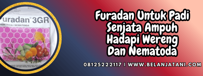 furadan untuk padi,furadan,padi,furadan 3 gr,belanja tani