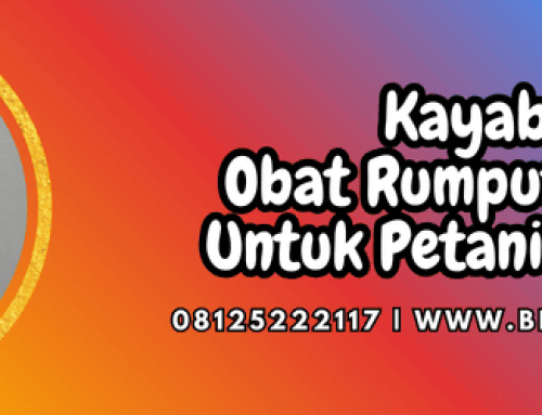 Kayabas Obat Rumput Ampuh Untuk Petani Gunakan