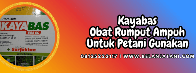 kayabas obat rumput,kayabas,obat,rumput,belanja tani