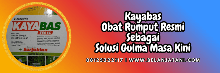 jual,murah,terjangkau,toko pertanian terdekat,belanja tani
