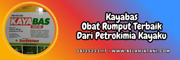 kayabas 555 sc,pestisida,herbisida,pestisida jenis herbisida,belanja tani