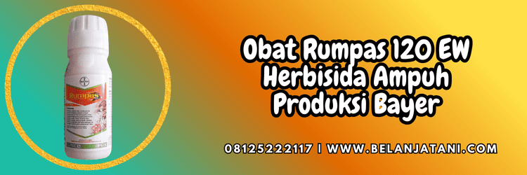 pestisida,herbisida,pestisida jenis herbisida,gulma.belanja tani
