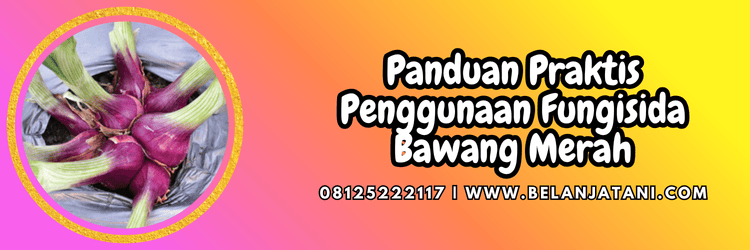 panduan,penggunaan,pengaplikasian,petani,pertanian,belanja tani