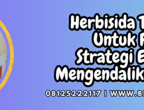 Herbisida Topshot Untuk Padi Strategi Efektif Mengendalikan Gulma