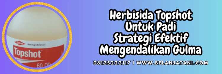 herbisida topshot untuk padi,herbisida,topshot,topshot 60 od,belanja tani