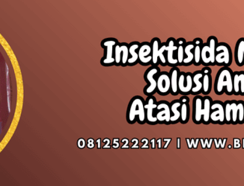 Insektisida Mipcinta Solusi Ampuh Atasi Hama Padi