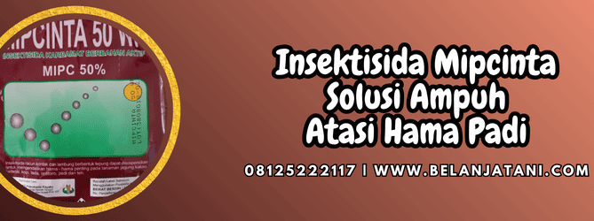 insektisida mipcinta,insektisida,mipcinta,mipcinta 50 wp,belanja tani