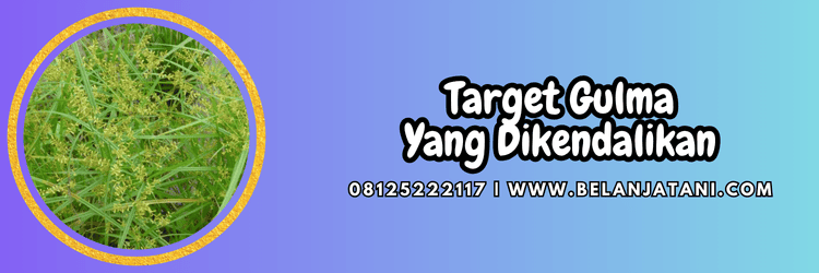 target,gulma,rumput,rumput liar,belanja tani