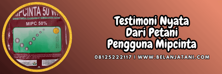 testimoni,petani,review,pengguna,belanja tani