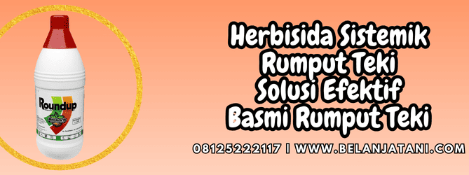 herbisida sistemik rumput teki,herbisida,sistemik,rumput teki,belanja tani