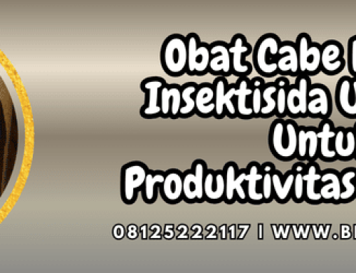 Obat Cabe Pegasus Insektisida Unggulan Untuk Produktivitas Maksimal