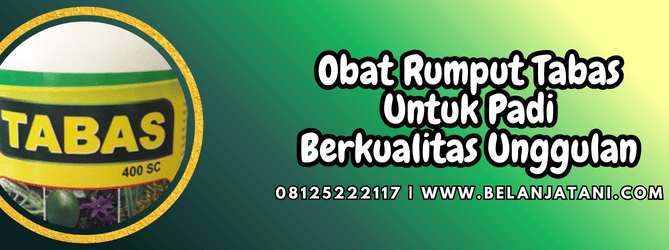 obat rumput tabas untuk padi,obat,rumput,tabas,belanja tani