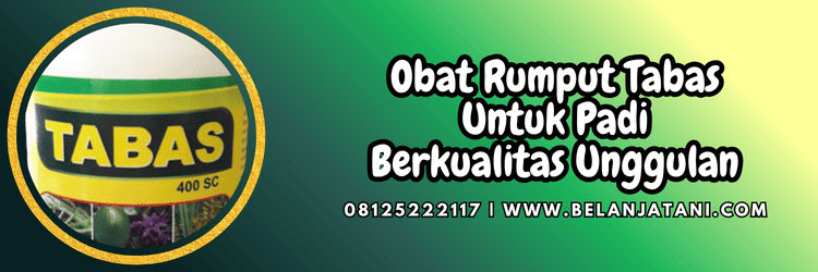 obat rumput tabas untuk padi,obat,rumput,tabas,belanja tani