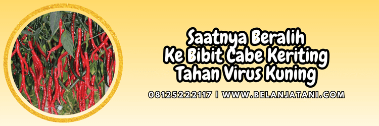 jual,murah,terjangkau,toko pertanian terdekat,belanja tani