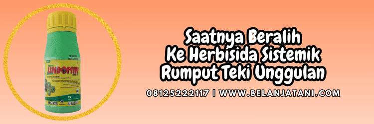 jual,murah,terjangkau,toko pertanian terdekat,belanja tani