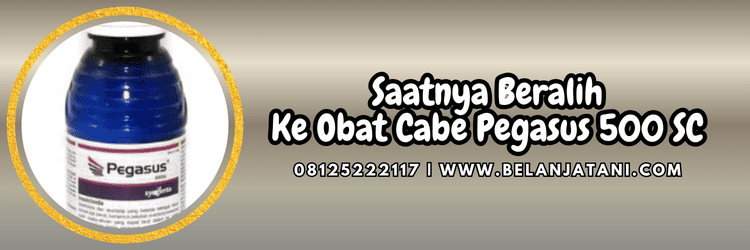 jual,murah,terjangkau,toko pertanian terdekat,belanja tani