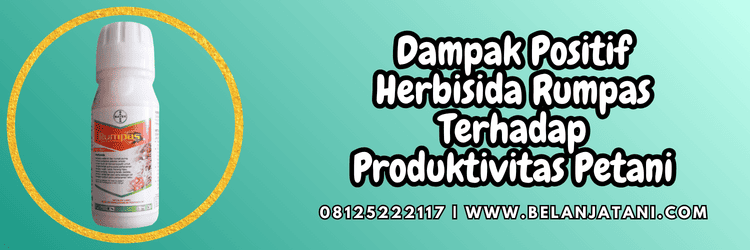 dampak,bagus,positif,dampak positif,produktivitas,belanja tani